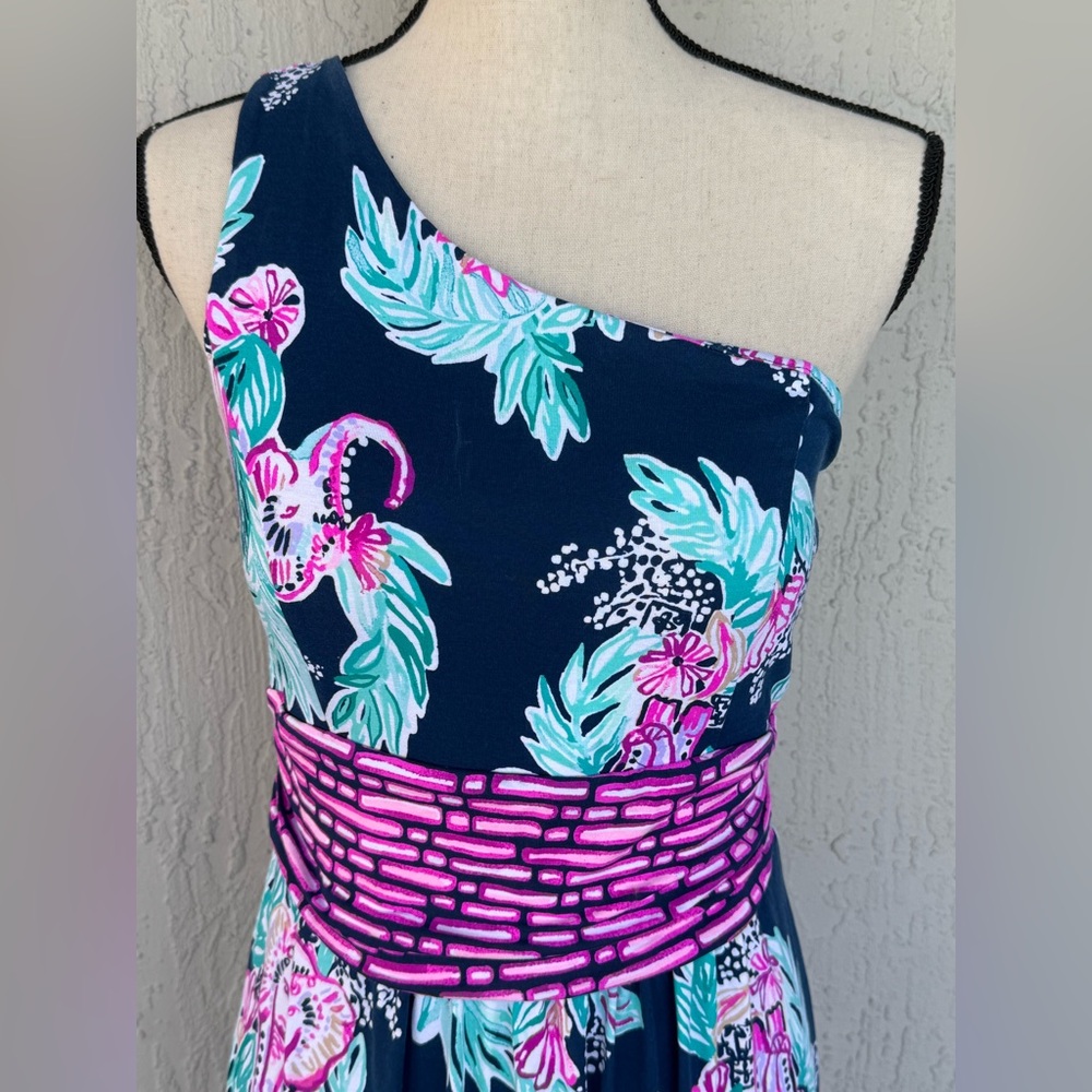Lilly Pulitzer Malia Maxi Dress One Shoulder Medium Inky Navy "Peanut Gallery"